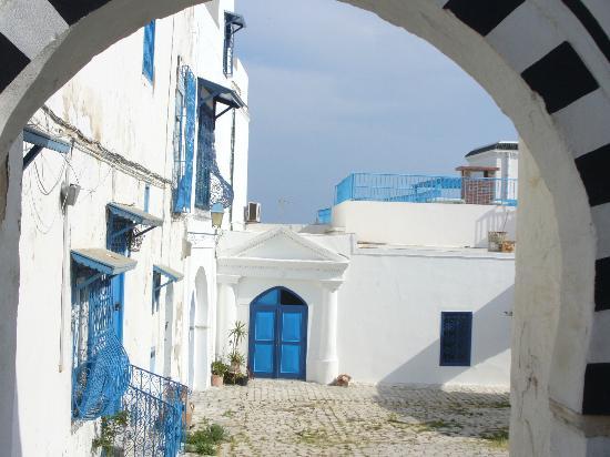 Palace Dar Nejma Ezzahra sidi bou said tunis