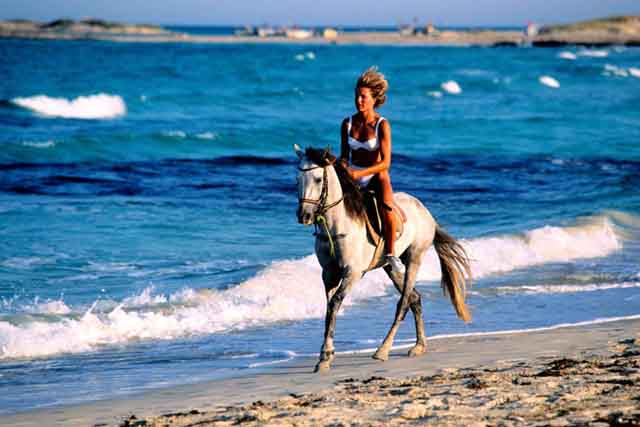 Horseback Riding in Tunisia