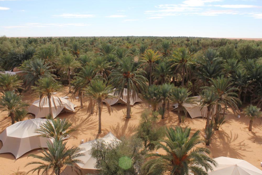 Ksar Ghilane Oasis