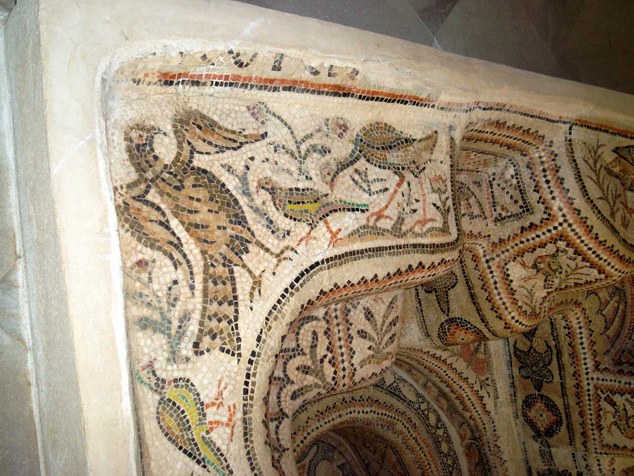 Contour of the basin